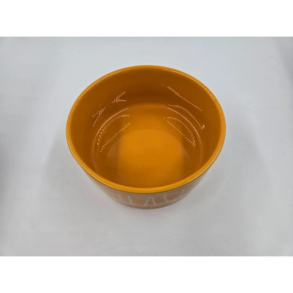 Rae Dunn FEAST 6” Orange Ceramic Pet Dog Bowl Pet Food Dish